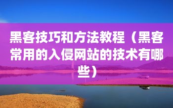 黑客技巧和方法教程（黑客常用的入侵网站的技术有哪些）-第1张图片-六九号